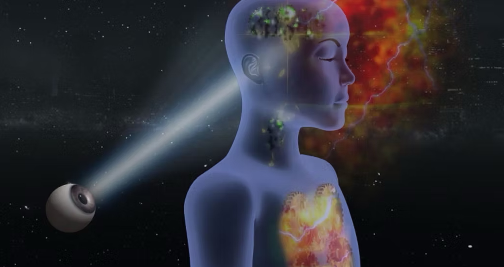 Evolution fast-forward 2