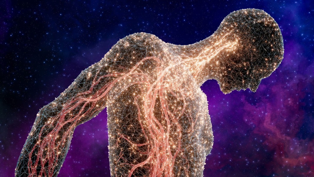 The Body — The Foundation of Conscious Living